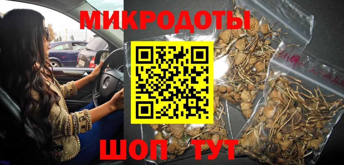 Гудермес  Галлюциногенные грибы GOLDEN TEACHER  Галлюциногенные грибы прущие грибы  Вход с VPN 