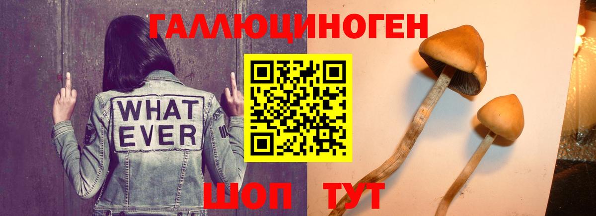 Псилоцибиновые грибы мухоморы Гудермес